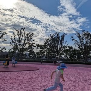 Meet your Posher, Joyce